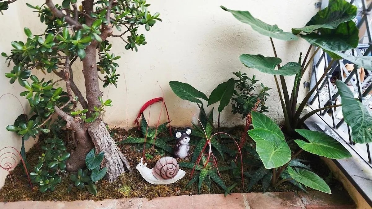 בית נופש סרבצה Casa Vacanze Versilia Mare